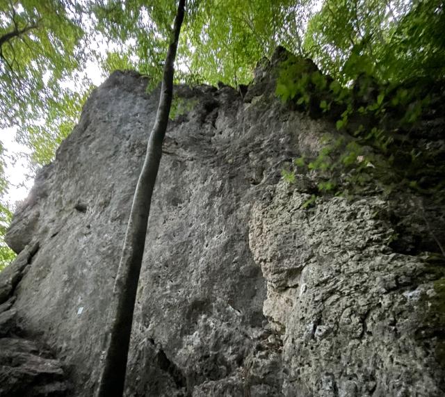 My first contribution to... My first contribution to...